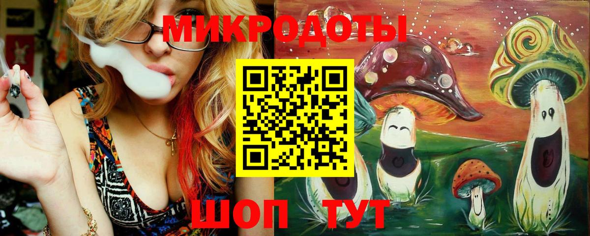Псилоцибиновые грибы прущие грибы Истра