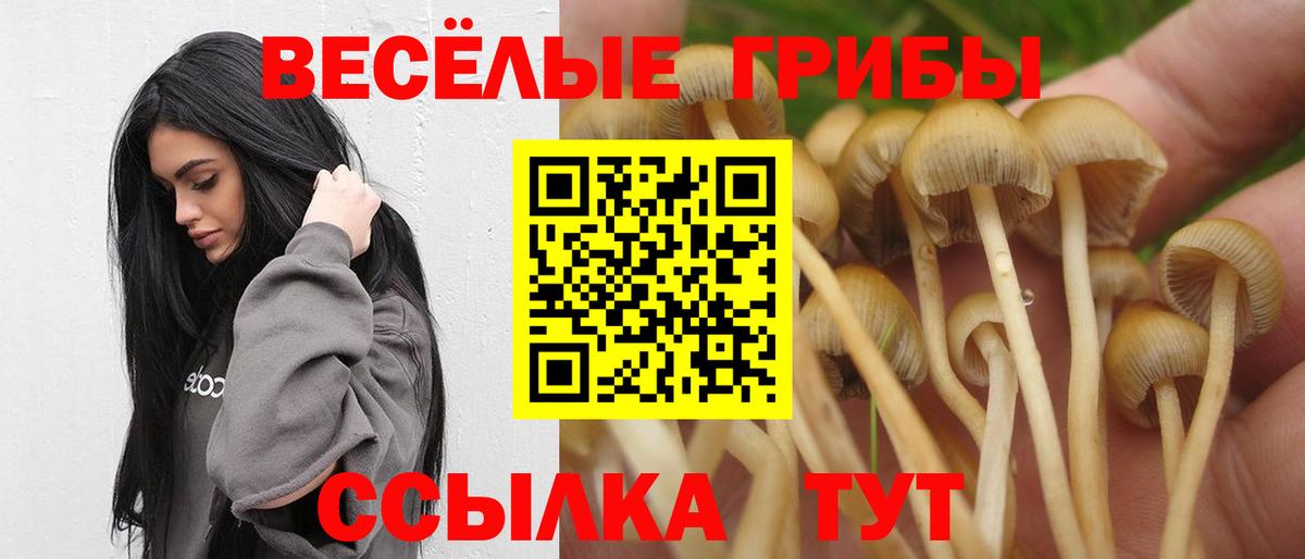 Псилоцибиновые грибы Cubensis  Псилоцибиновые грибы прущие грибы  Истра  Вход с VPN 